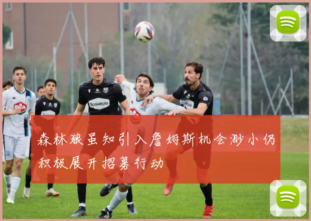 森林狼虽知引入詹姆斯机会渺小仍积极展开招募行动