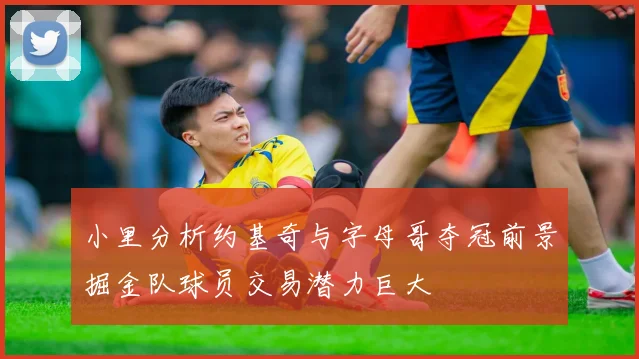 小里分析约基奇与字母哥夺冠前景掘金队球员交易潜力巨大