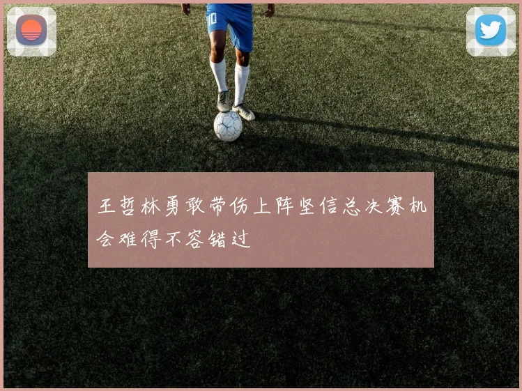 王哲林勇敢带伤上阵坚信总决赛机会难得不容错过