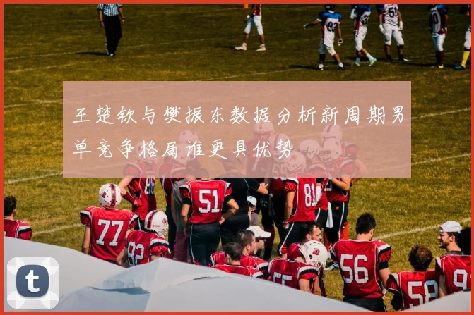 王楚钦与樊振东数据分析新周期男单竞争格局谁更具优势