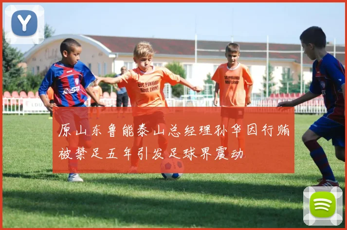 原山东鲁能泰山总经理孙华因行贿被禁足五年引发足球界震动